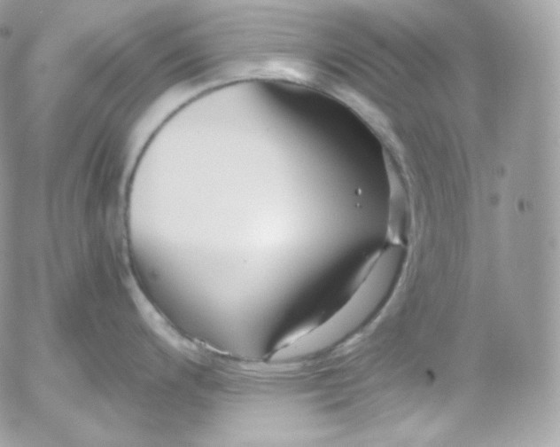 X0000052601200200507221626