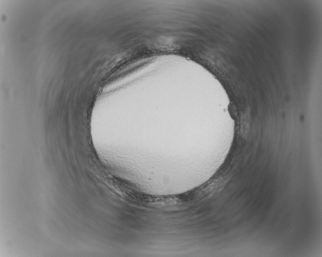 X0000052601201200507221625