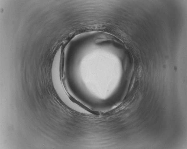 X0000052601202200507221625