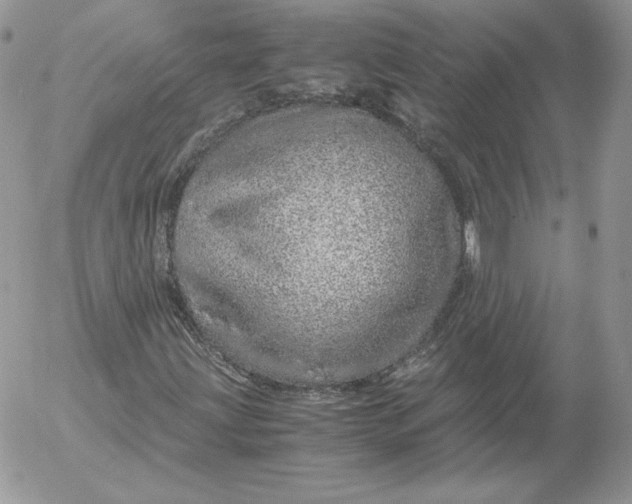 X0000052601203200507221625