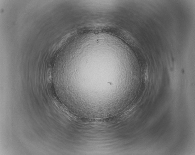 X0000052601204200507221625