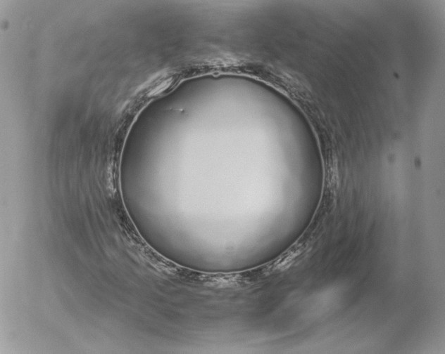 X0000052601205200507221625