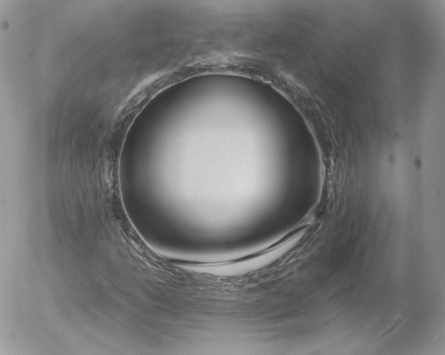 X0000052601206200507221625