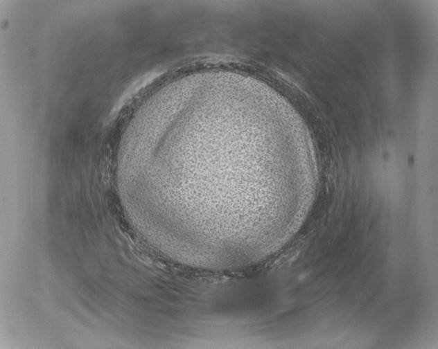 X0000052601207200507221625