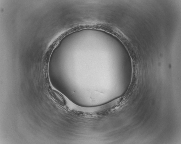 X0000052601208200507221625