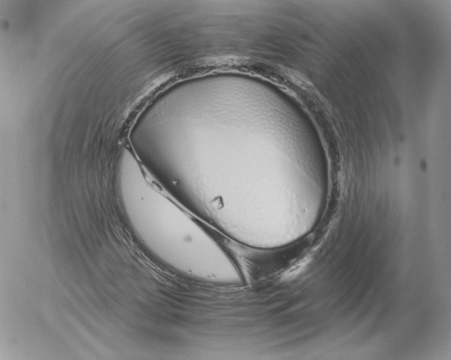 X0000052601209200507221625