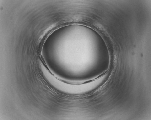 X0000052601210200507221625