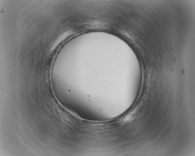 X0000052601211200507221625