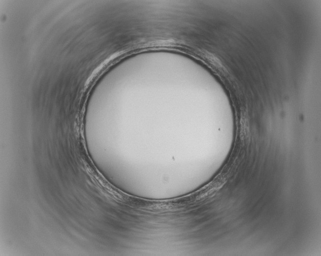 X0000052601212200507221625