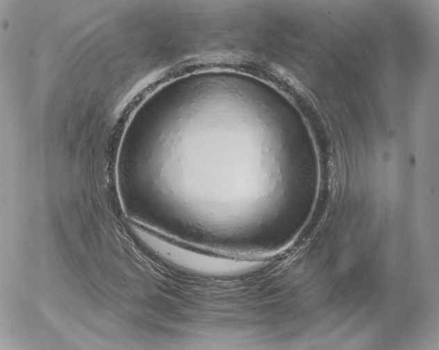 X0000052601213200507221625