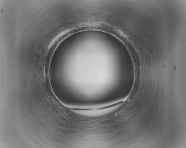 X0000052601214200507221625