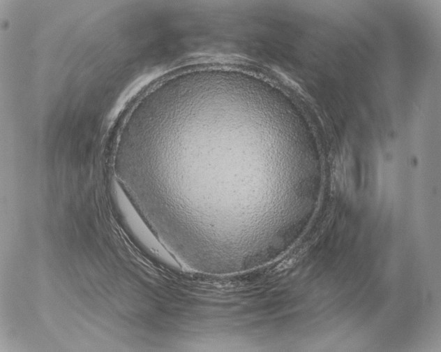 X0000052601215200507221625