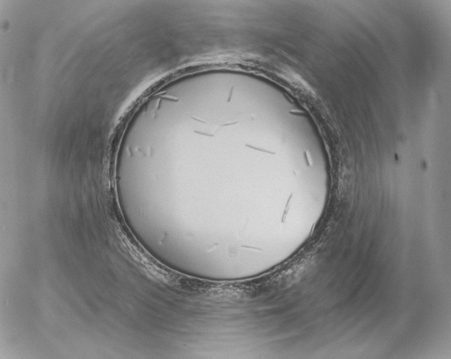 X0000052601216200507221625