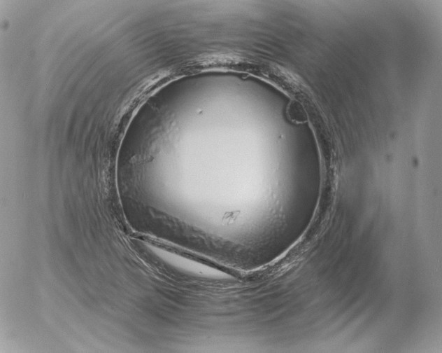 X0000052601217200507221625