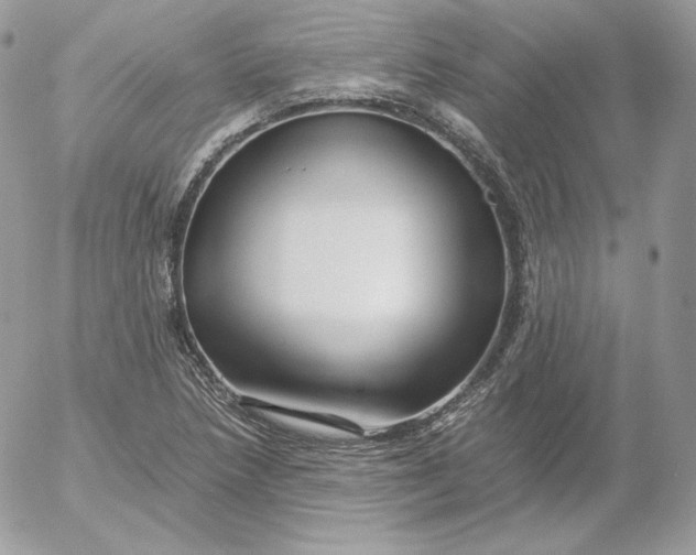 X0000052601218200507221625