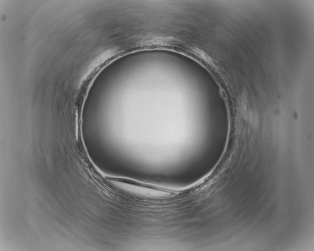 X0000052601219200507221625