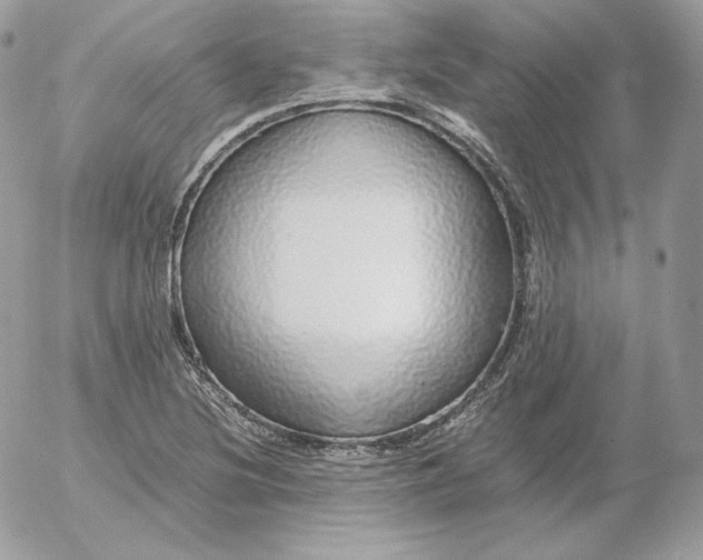 X0000052601220200507221625