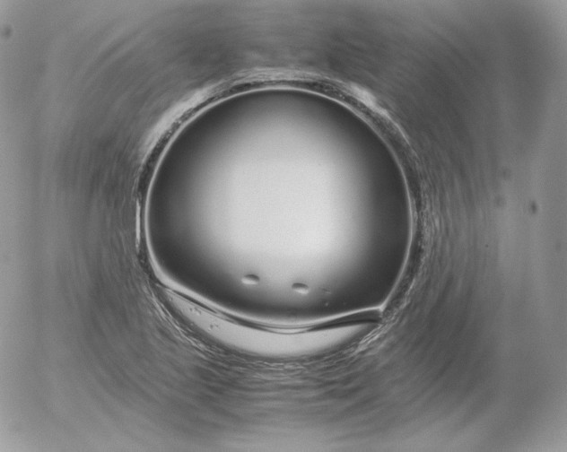 X0000052601221200507221625