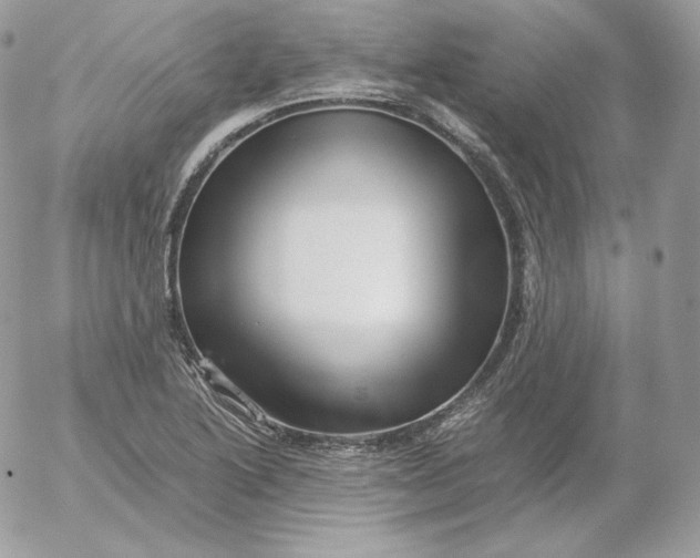 X0000052601222200507221625