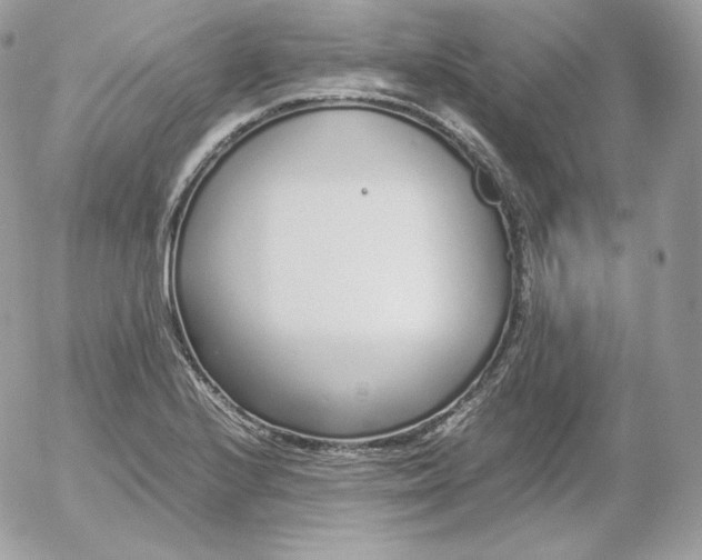 X0000052601224200507221625