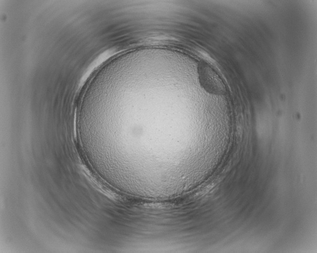 X0000052601227200507221625