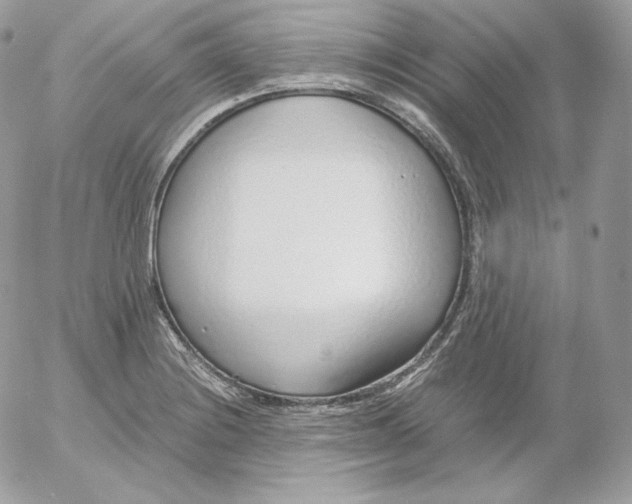 X0000052601228200507221625