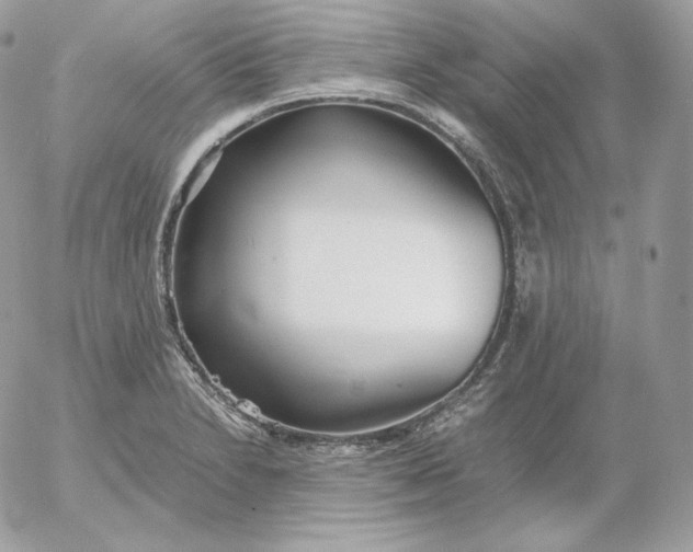 X0000052601230200507221625