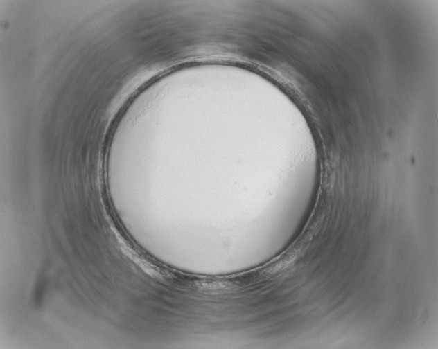 X0000052601231200507221625