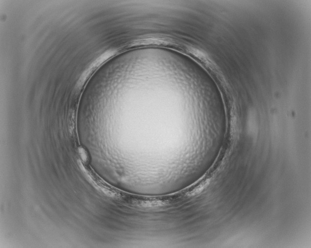 X0000052601233200507221626