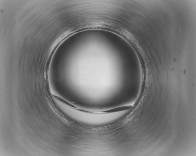 X0000052601234200507221626