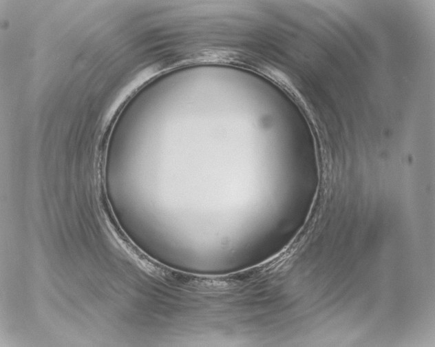 X0000052601235200507221626