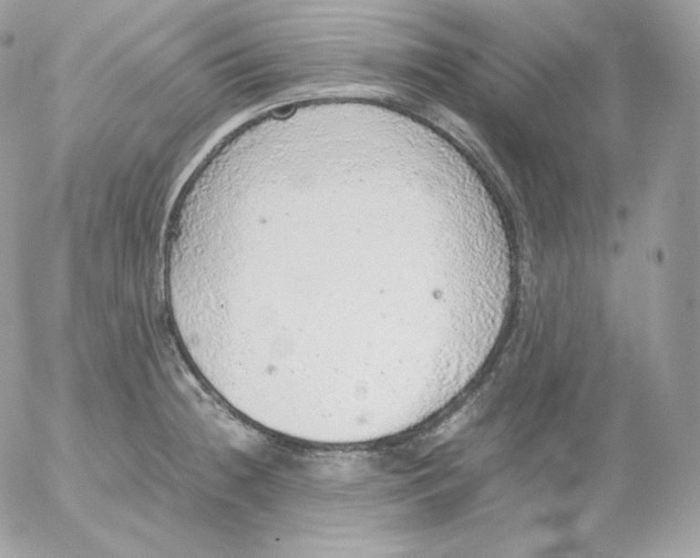 X0000052601236200507221626