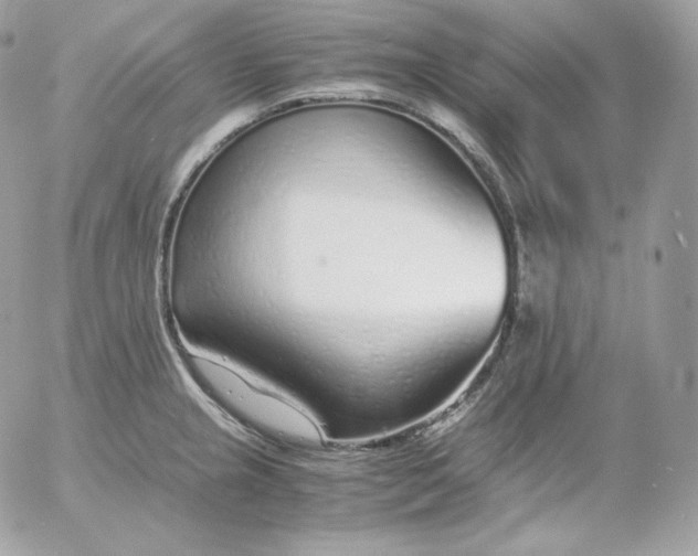 X0000052601237200507221626