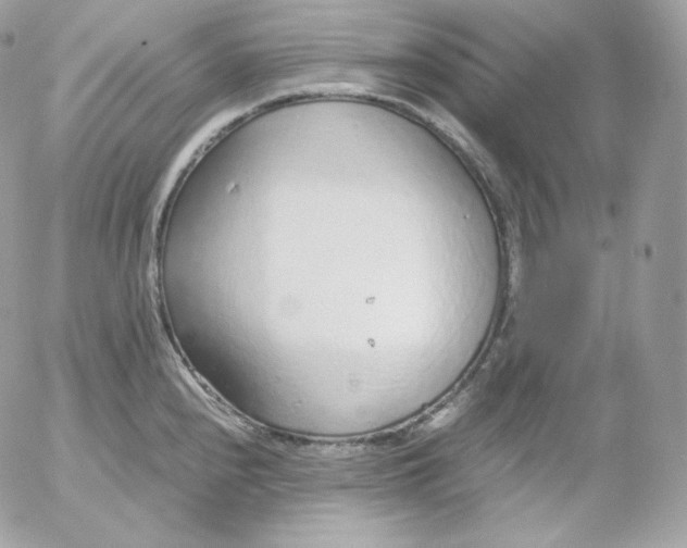 X0000052601240200507221626