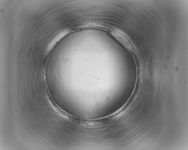 X0000052601241200507221626