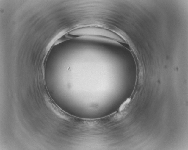 X0000052601242200507221626