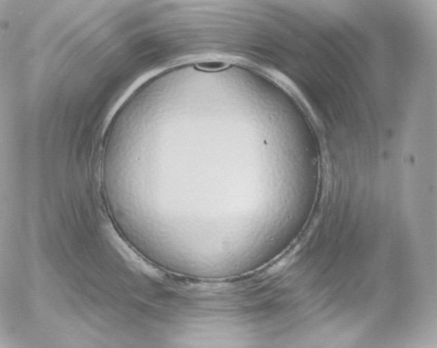 X0000052601244200507221626