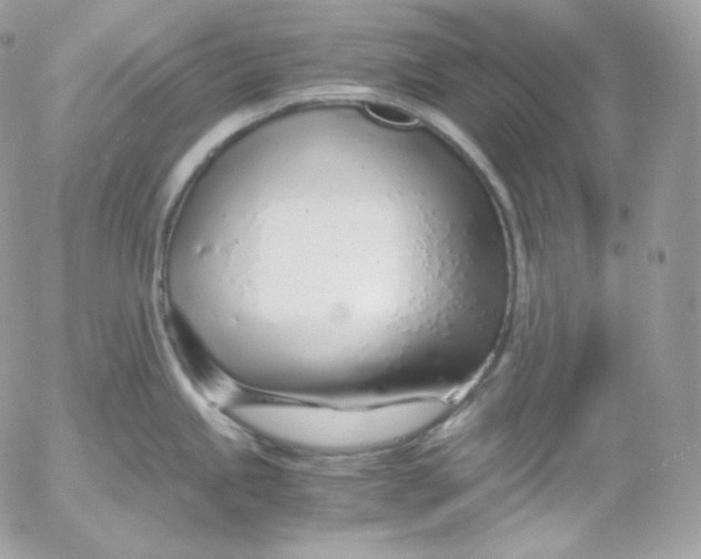 X0000052601245200507221626