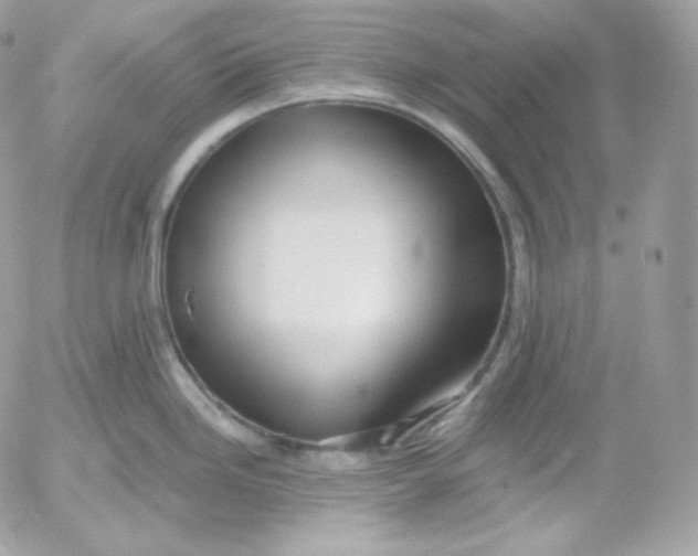 X0000052601246200507221626