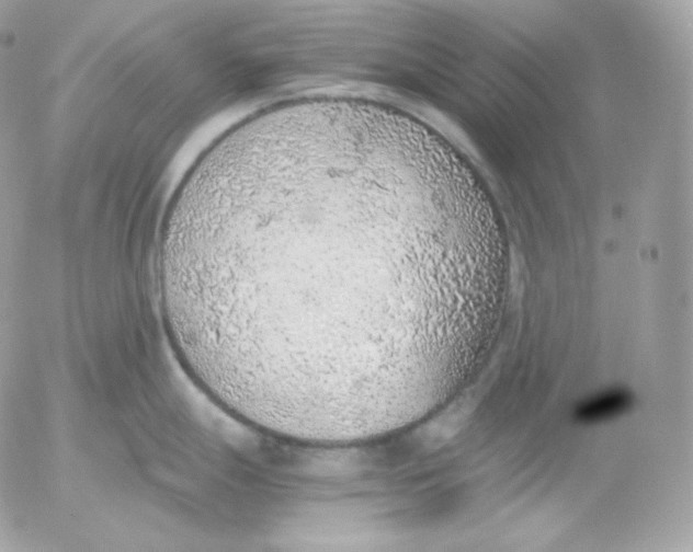 X0000052601247200507221626