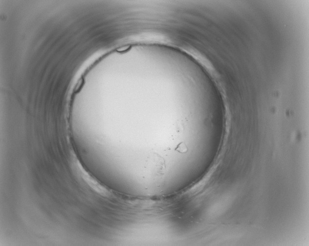 X0000052601248200507221626