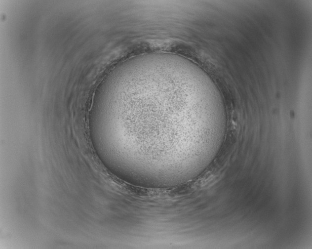 X0000052601249200507221625