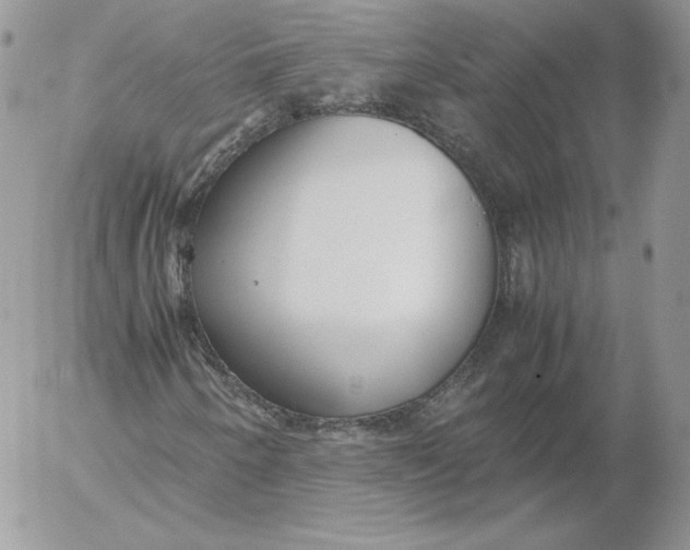 X0000052601250200507221625