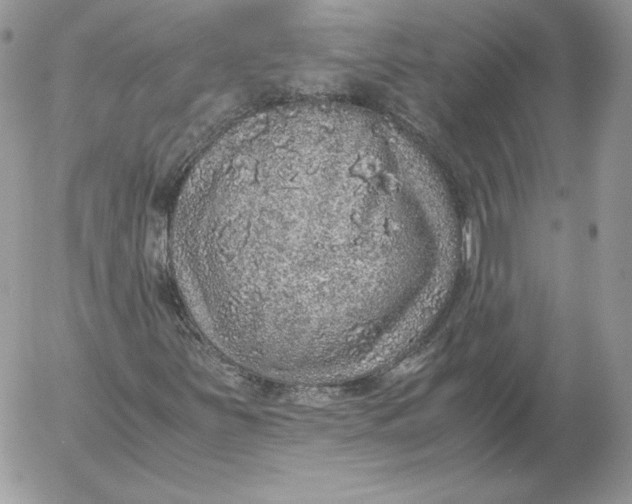 X0000052601251200507221625