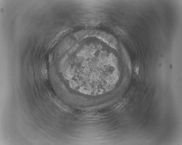 X0000052601252200507221625