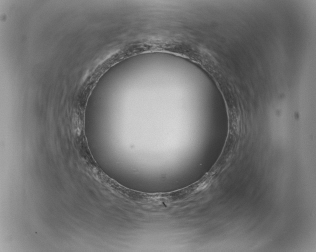 X0000052601253200507221625