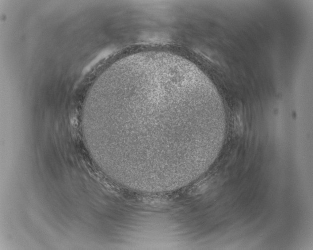 X0000052601254200507221625