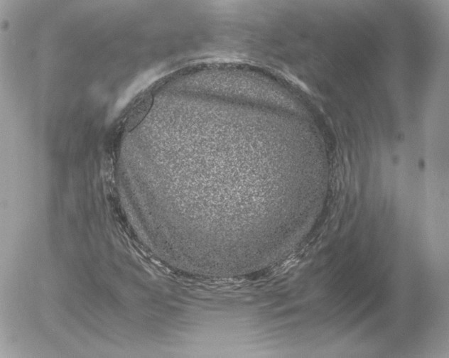 X0000052601255200507221625