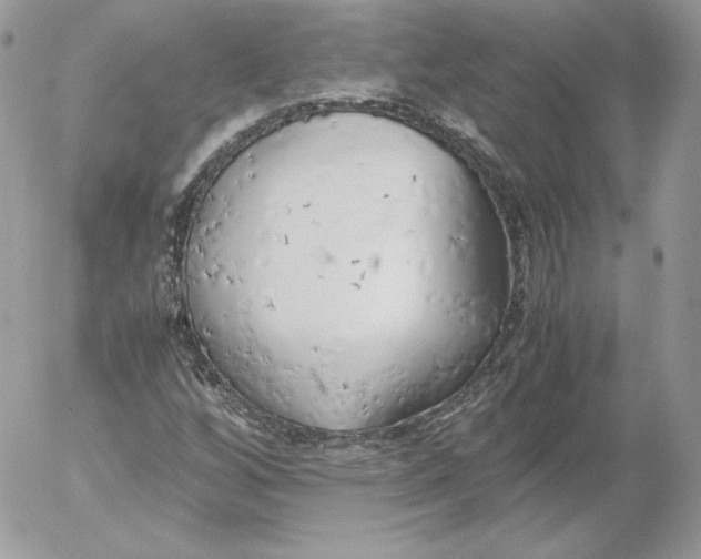 X0000052601256200507221625