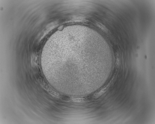 X0000052601258200507221625